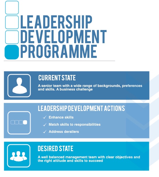 leadership development programme, leadership development, leadership executive development, executive development