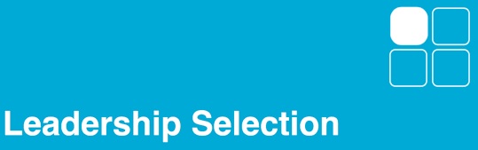 leadership selection, leadership executive selection, executive selection, headhunting