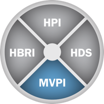 MVPI - Motives Values Preferences Inventory 