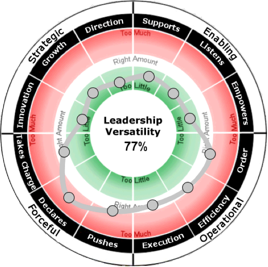 Leadership Versatility Index - LVI